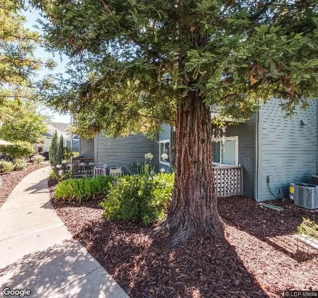 Blossom Vale Senior Living