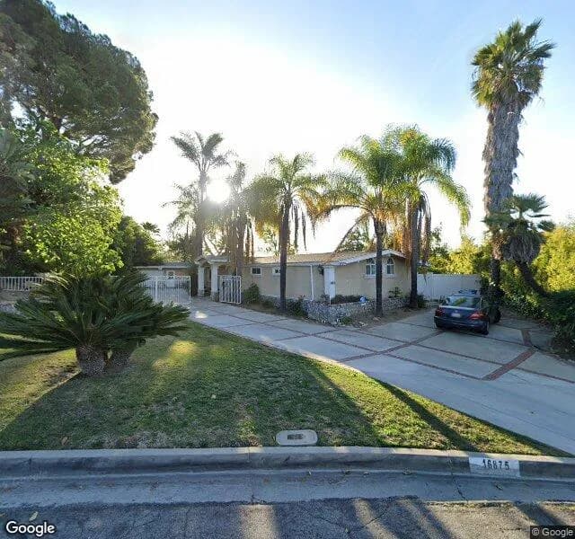 Golden Apricot Manor