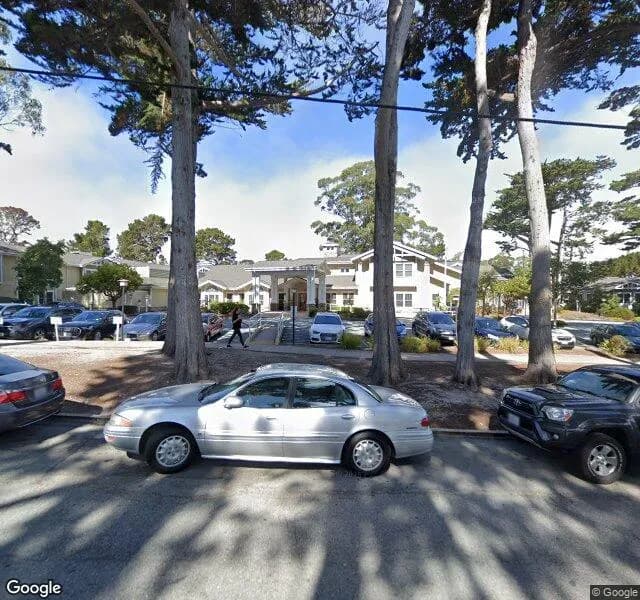 Ivy Park Of Monterey