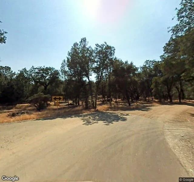 Mariposa Day Program