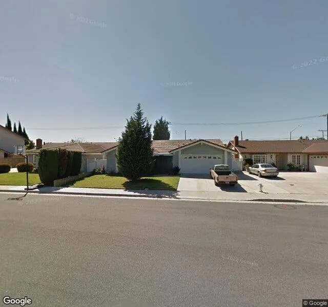 Pathway Living - Mullein