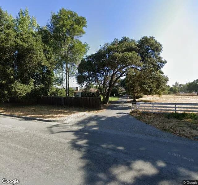 Songbird In The Country