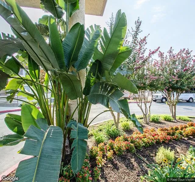 Summerfield Of Fresno