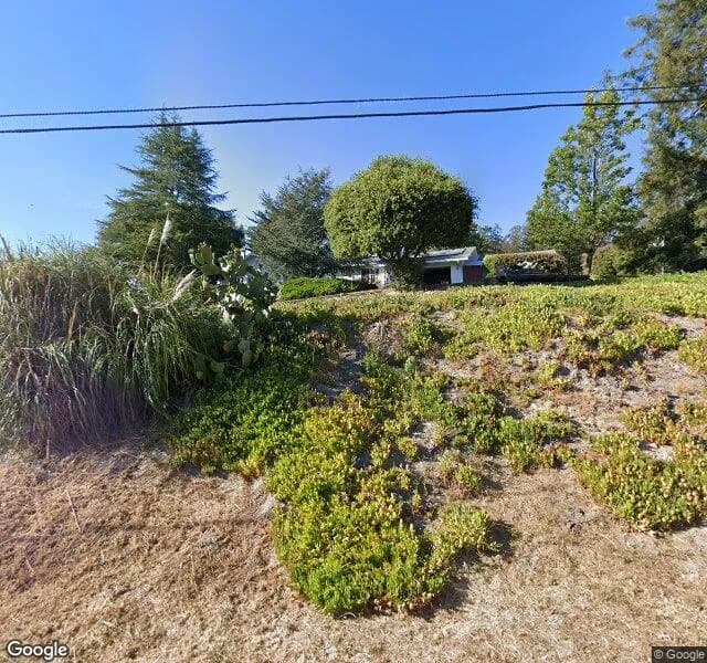 Taking The Journey Orchard