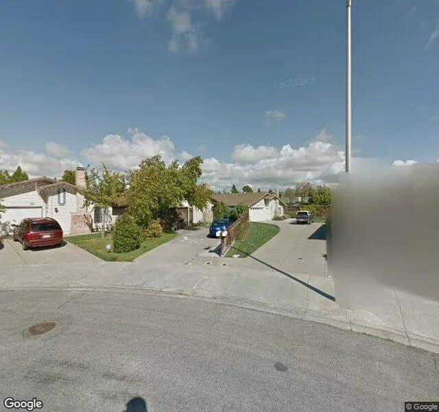 Alegria Community Living - Dichondra