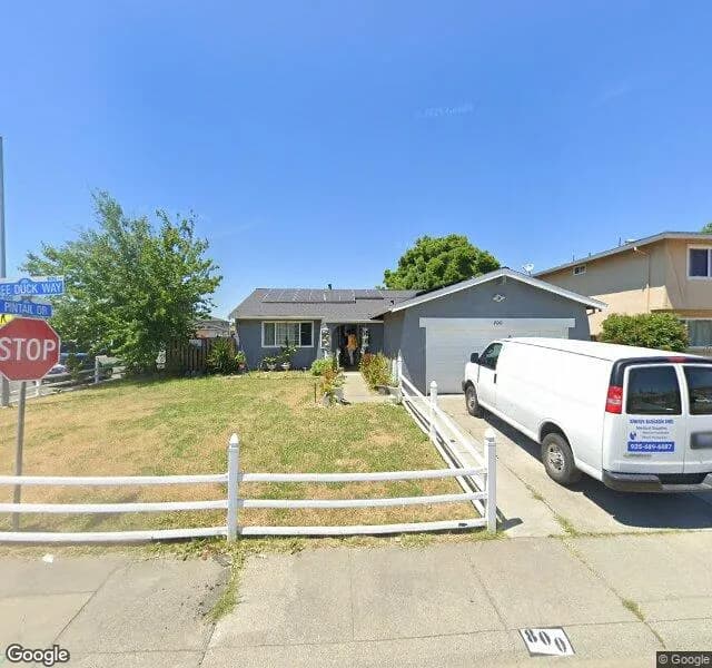 Pacific Gardens At Tree Duck