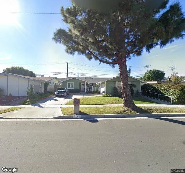 Terra Verde Living Llc