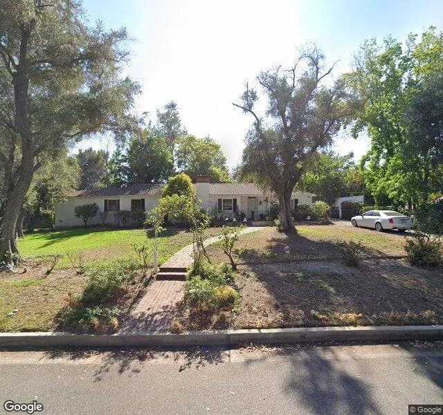 Three Sycamores On Gould